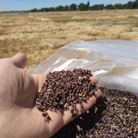 CULTIEMER (@cultiemer) 's Twitter Profile