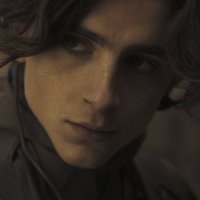 artichoke (@0xmarketzero) 's Twitter Profile