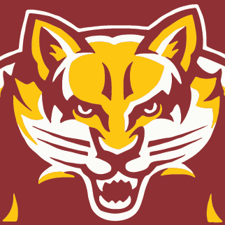 FA/M Boys Basketball Fans Profile