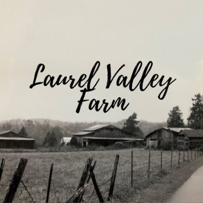 Laurel Valley Farm has everything you need to make your house a home with home decor, kitchen essentials, and outdoor needs!