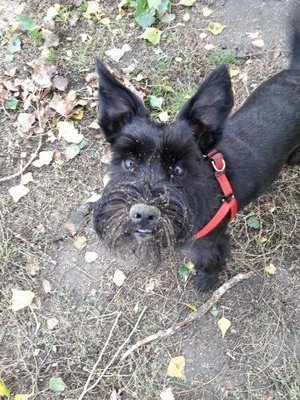 MarcelEagleEye's profile picture. Mr.Nobody 🇵🇱🇵🇱🇵🇱🤍❤ Konto sarkastyczne