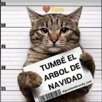 Santi68 (@negrontisan68) 's Twitter Profile Photo Santi68 (@negrontisan68) 's Twitter Profile Photo