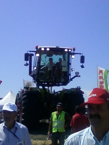 إسمهان سامح