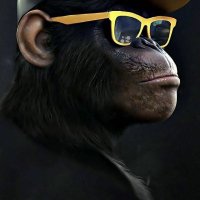 floyd (@floydyid) 's Twitter Profile