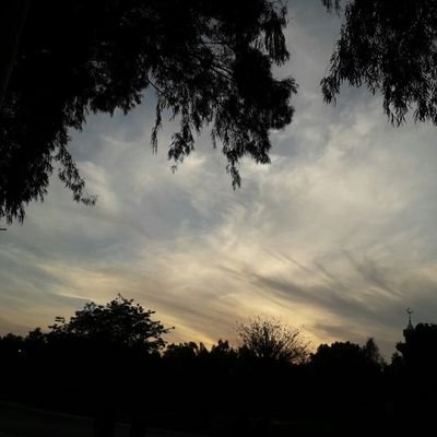Art enthusiast
Admirer of nature
passion for learning