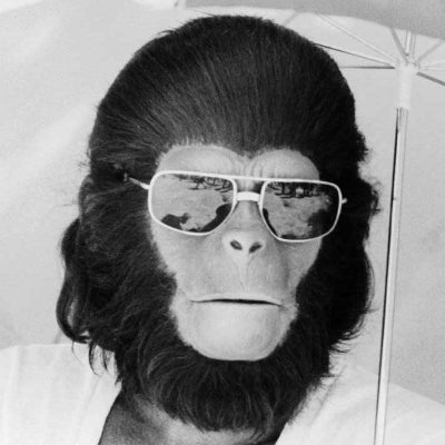 DiegoPersi79's profile picture. 