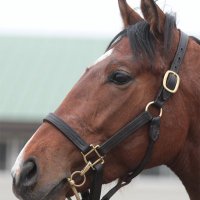 ドルチェ🏇 (@jeweldolce) Twitter profile photo
