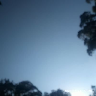 KingJahpriestt's profile picture. JAH SON