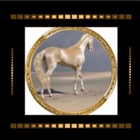 Abu Sultan (@wzwz1990) 's Twitter Profile