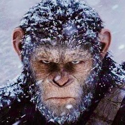 Arbitr13's profile picture. 