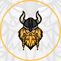 The Vikings League (@vikingsarena) Twitter profile photo