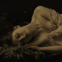 gülhanım.eth (@x0asy) 's Twitter Profile