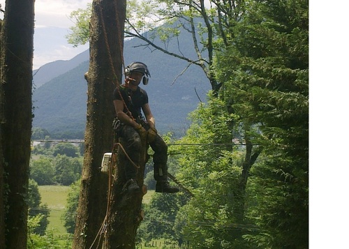 Poplar Tree Services is a friendly family operated business, NPTC and LANTRA awards qualified. We can carry out the simplest work to complete forest management.