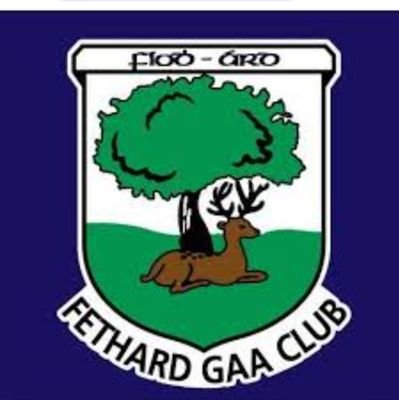 Fethard_GAA's profile picture. 