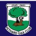 Fethard GAA (@Fethard_GAA) Twitter profile photo