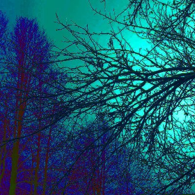 Spadoom_doom's profile picture. 