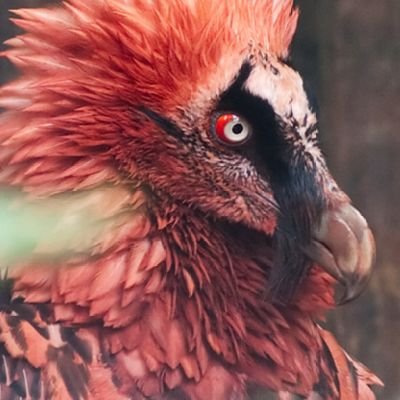 Khymerさんのプロフィール画像