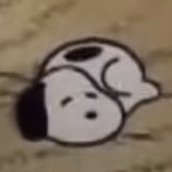 thetitIetrack's profile picture. 