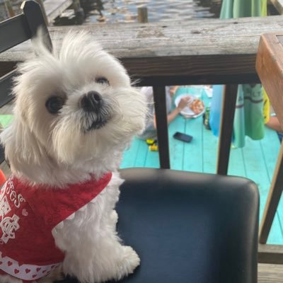 JeannieL2021's profile picture. Life is good!