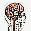 marlarkee's profile picture. Practicing musician tweeting