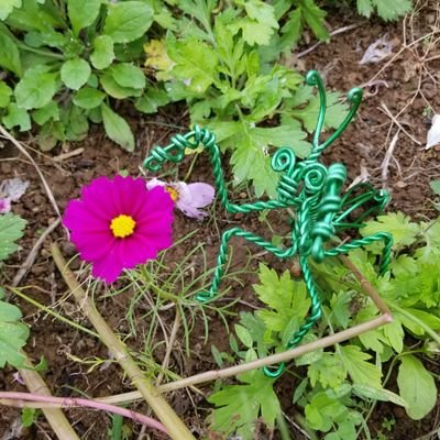 毎年6月4日(虫の日)周辺で「昆虫好きのための1日!虫むしまつり」を開催予定!写真、イラスト等参加者募集‼️
日本の西端、昆虫の里の住人。公職人間ときどきハンドメイド作家。たびら昆虫自然園解説指導員の会SNS&イベント担当(ボランティア)