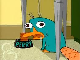 BlueFoodBowl's profile picture. the sweet smell of leftovers and platypus food yumm