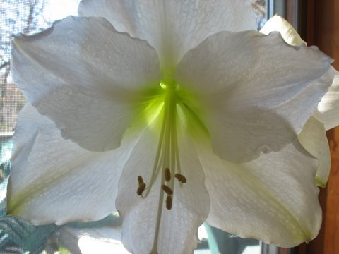 SZuber's profile picture. 