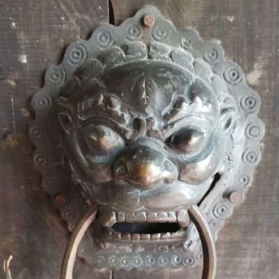 rocbear2's profile picture. Think twice, be nice.