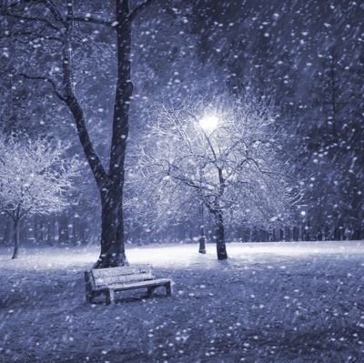 tonystakmark50's profile picture. 