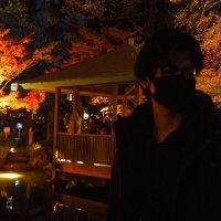 や (@u_da_n) 's Twitter Profile