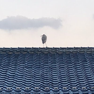 5GjD6NTsKpZwbMF's profile picture. 