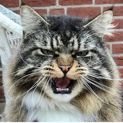 Glenda4711's profile picture. 