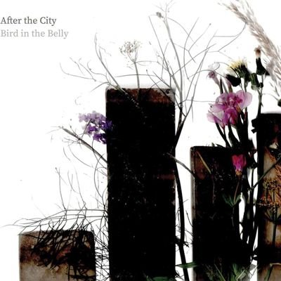 New album AFTER THE CITY out now! Stream or buy : https://t.co/x7dkZ2p2oZ