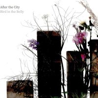 Bird in the Belly (@birdinthebelly) 's Twitter Profile