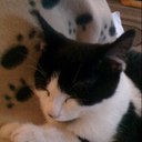 Nicki Bennett - @nickievelyn - Twitter