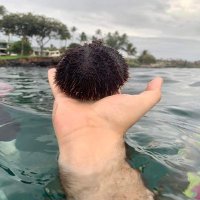 BENJIE (@benjiee420) 's Twitter Profile