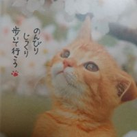 ティーコロン (@00pz2bfahu7dbor) 's Twitter Profile