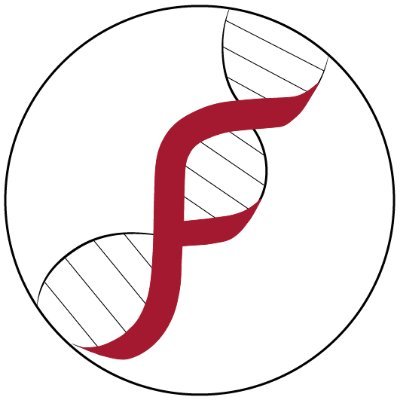 FadenLab Profile Picture