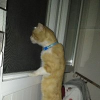 F. GÜÇLÜ---ANKARA (@gucluadam_f) 's Twitter Profile
