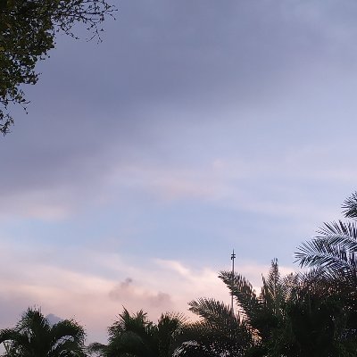 metamelika31's profile picture. 