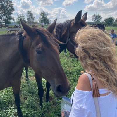 Horse & horse racing enthusiast. According to 1 “best Mom ever”, to another, I was a horse in my last life. Love to read, dance, family. Outspoken, committed.