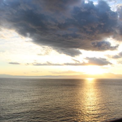 tamilon_sakura's profile picture. RTAやったりやらなかったり