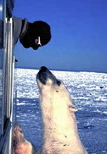 cocre8's profile picture. Love Truth Beauty