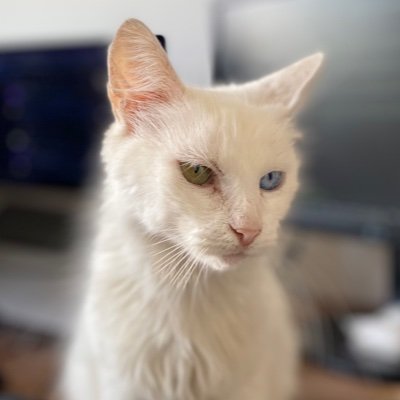 VictorHugoSil27's profile picture. Sumo daqui todo dia