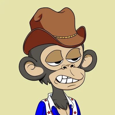 WTFsNFTs's profile picture. WTF. NFTs. Not financial advice. I wouldn’t say I was first to NFTs, but I’m definitely not last. Traveler by day, blockchain dweller by night.