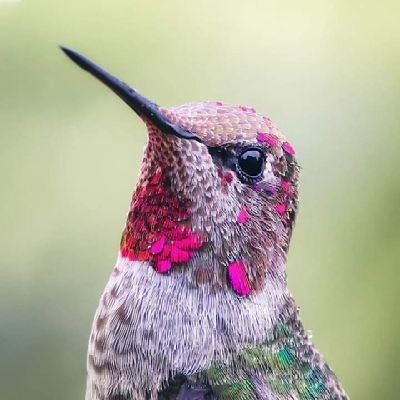 zapamixer's profile picture. Lorem ipsum