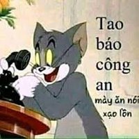 Đặng Việt Hoàng (✸,✸) (@dangviethoangvr) 's Twitter Profile