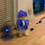 eP FlyingLinus (@ep_flyinglinus) 's Twitter Profile