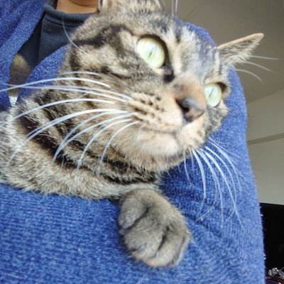 6GlZ8A7BO7ppGNR's profile picture. 