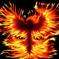Real Life Phoenix (@antray06) 's Twitter Profile
